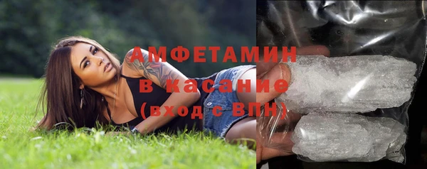 трава Гусиноозёрск