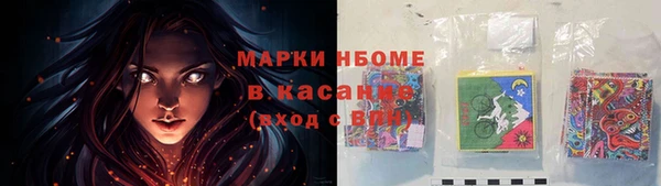 трава Гусиноозёрск