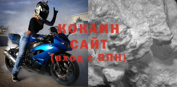 трава Гусиноозёрск