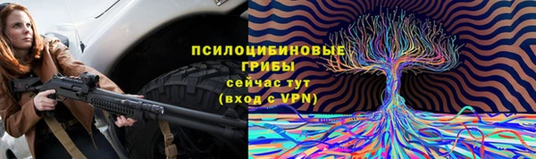 трава Гусиноозёрск