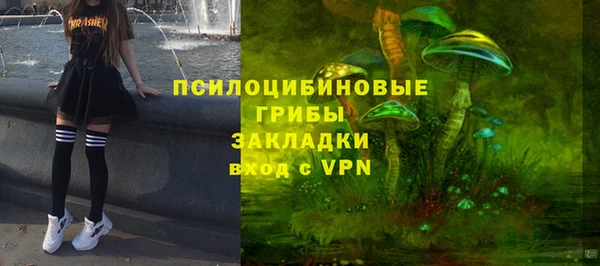 прущий лед Гусев