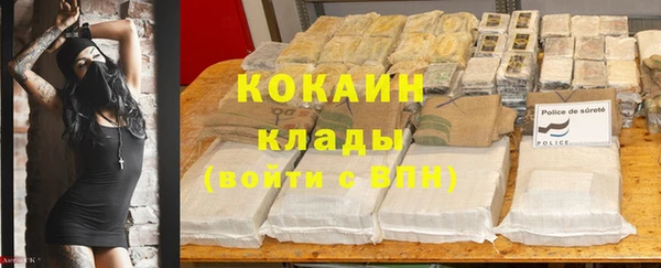 трава Гусиноозёрск