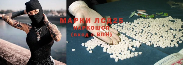 прущий лед Гусев