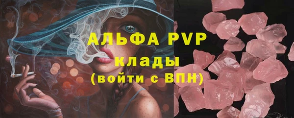 трава Гусиноозёрск