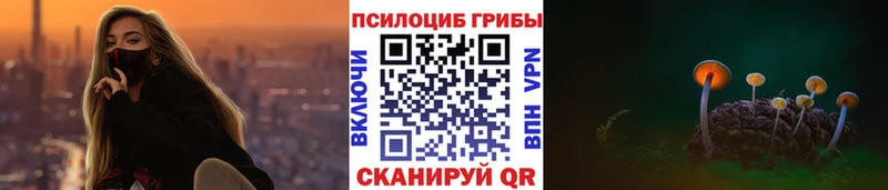 Псилоцибиновые грибы Psilocybe Октябрьский